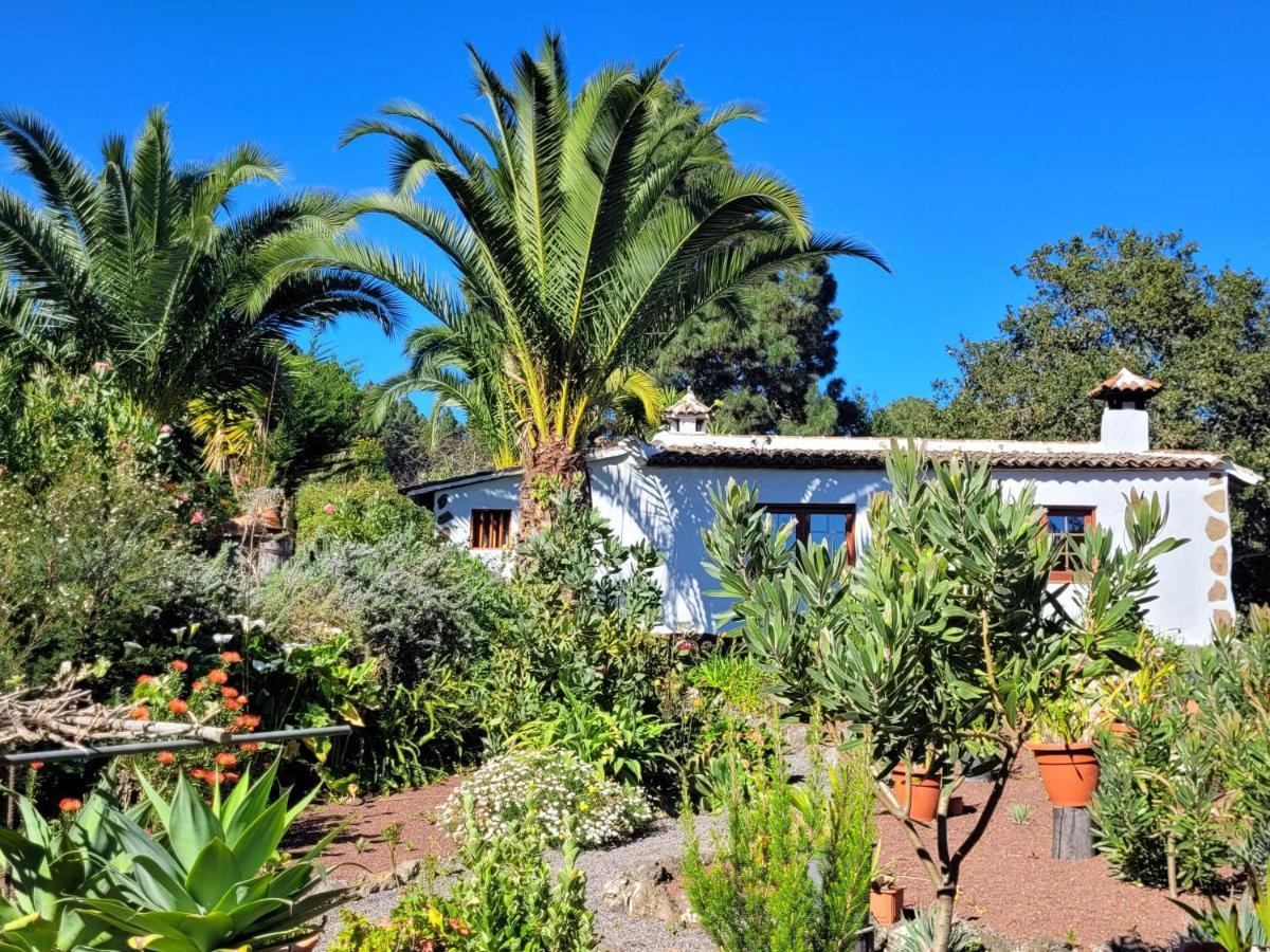 Finca Llano De La Cebolla Icod De Los Vinos Exterior foto
